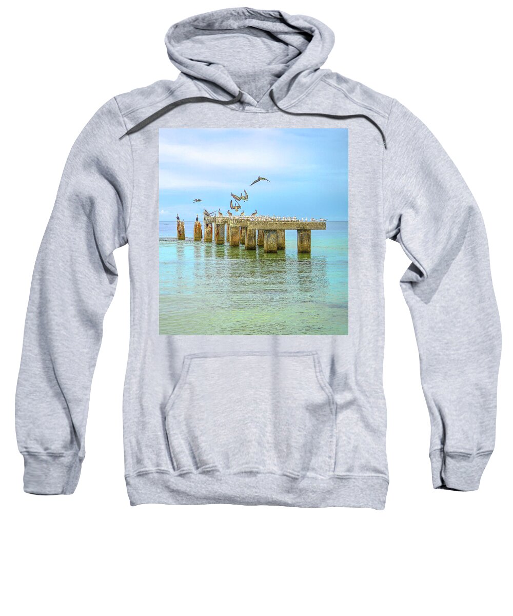 Florida Sweatshirt featuring the photograph its a Florida vacation by Alison Belsan Horton