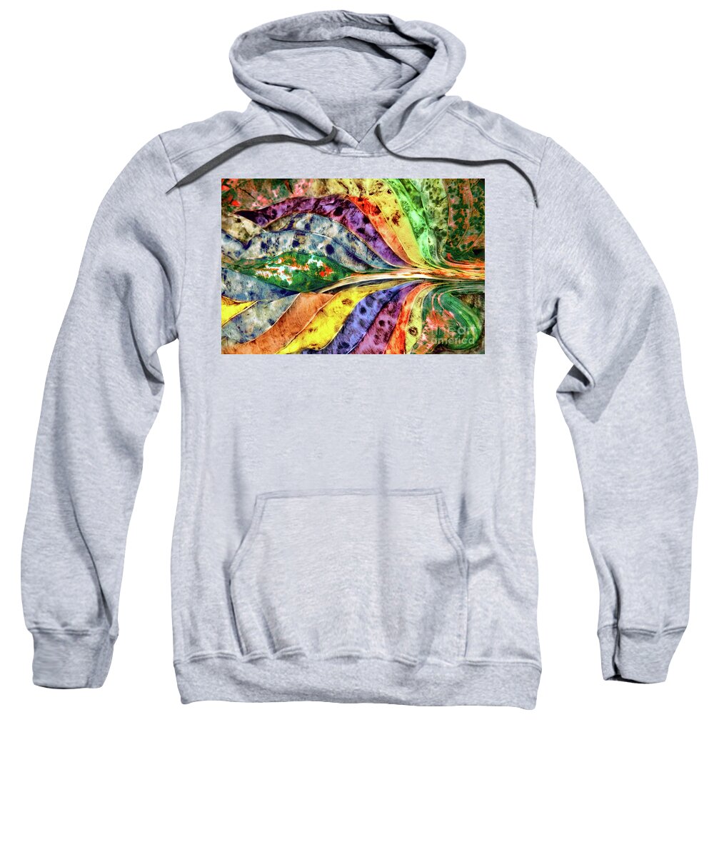 Abstracts Sweatshirt featuring the photograph Joseph's Coat by Marilyn Cornwell