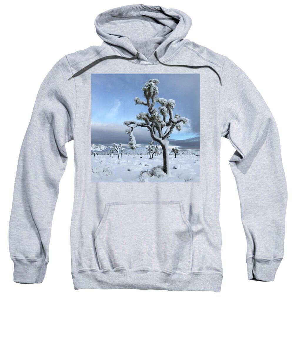 Joshua Tree Sweatshirt featuring the photograph Joshua Tree in the Snow #1 by Perry Hoffman