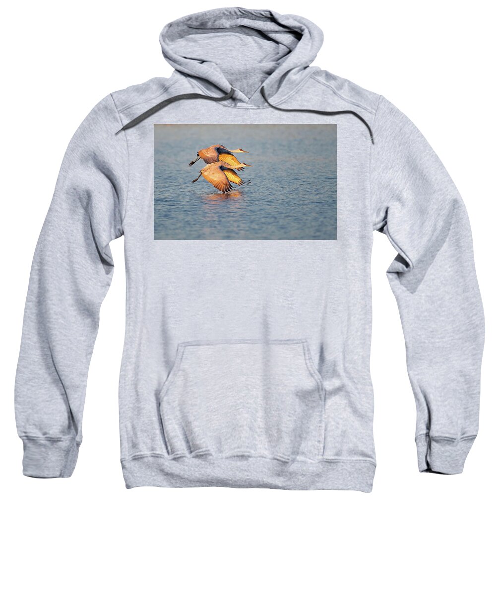 Bird Sweatshirt featuring the photograph Just Above Water by Art Cole