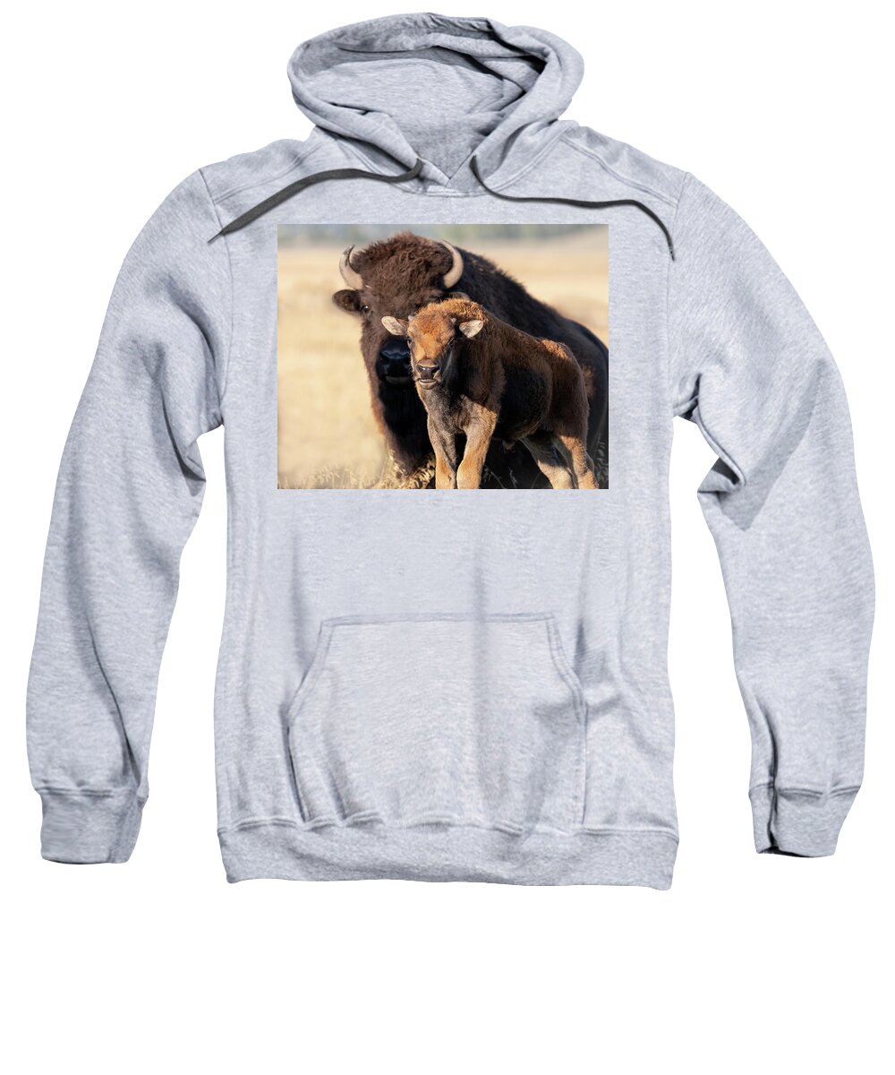Bison Sweatshirt featuring the photograph Just like Dad by Mary Hone