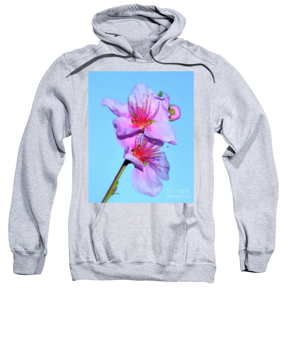 Just Peachy Flowers Sweatshirt featuring the photograph Just Peachy Flowers by Patrick Witz