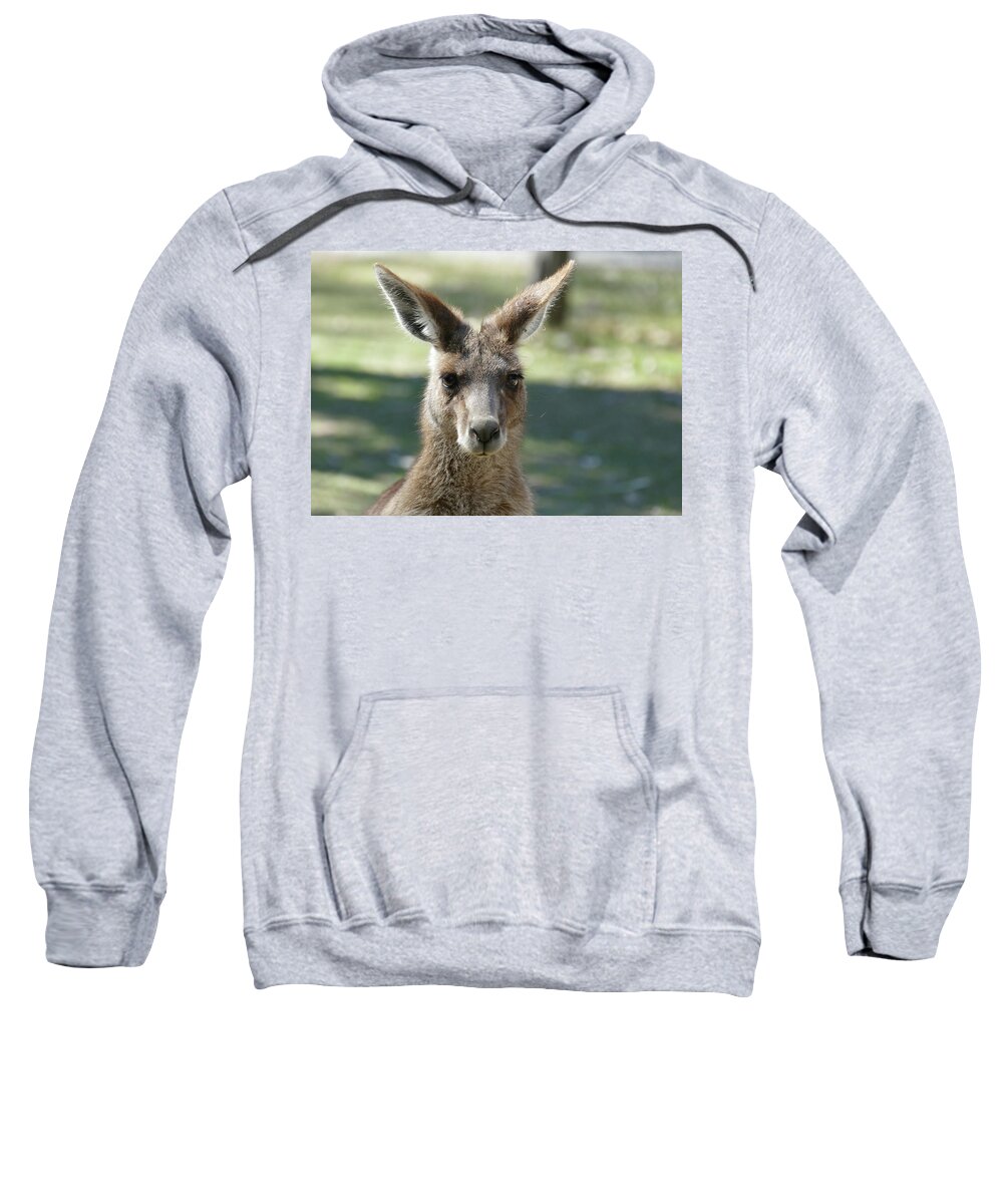 Animals Sweatshirt featuring the photograph Kangaroo portrait by Maryse Jansen