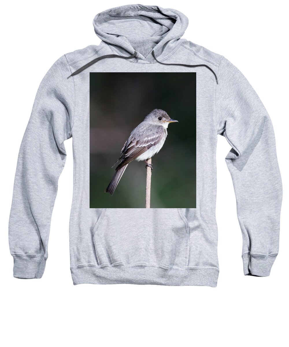  Sweatshirt featuring the photograph Eastern Kingbird by Jim Miller