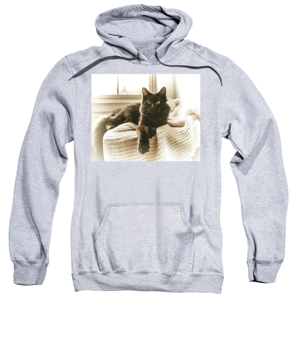 Kitty Sweatshirt featuring the digital art Kitty on a Knit Blanket by Cindy Collier Harris