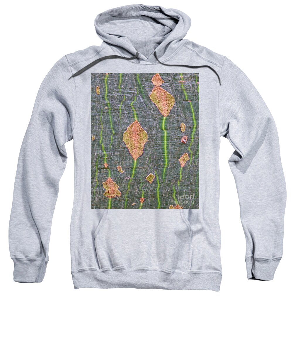 Lacebark Tree Sweatshirt featuring the photograph Lacebark Up Close by Neil Maclachlan