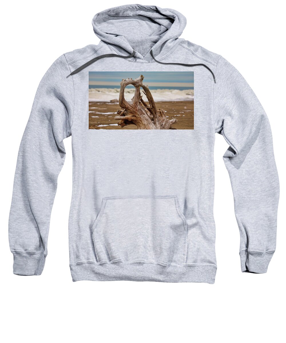 Lake Erie Sweatshirt featuring the photograph Lake Erie Driftwood by Scott Burd