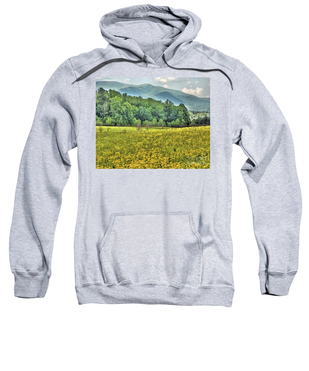 Smoky Mountains National Park Sweatshirt featuring the photograph Landscape_Mountain Vista_Smokey Mountains_NP_IMGL9886 by Randy Matthews