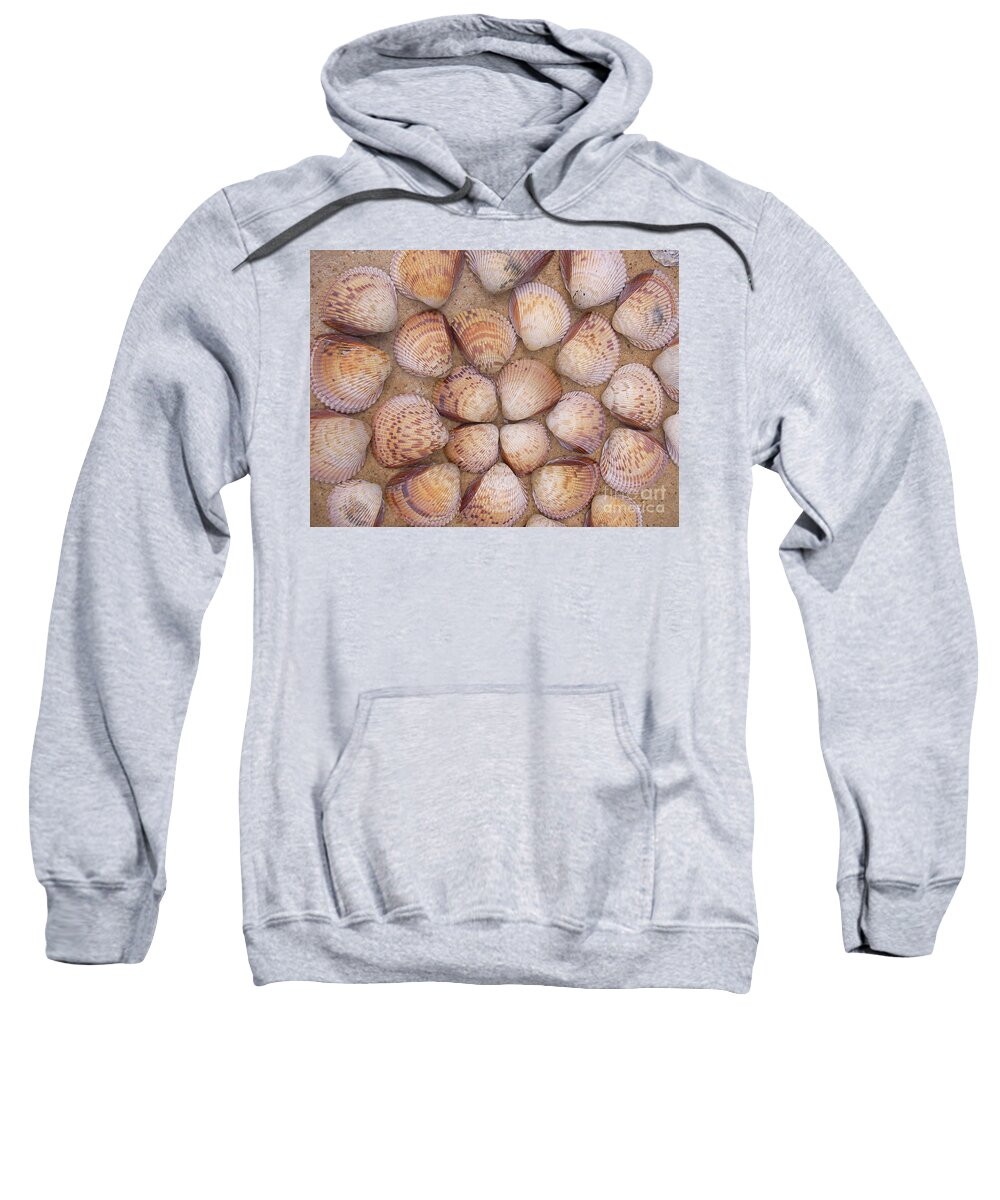  Sweatshirt featuring the photograph Large shells by Audrey Peaty