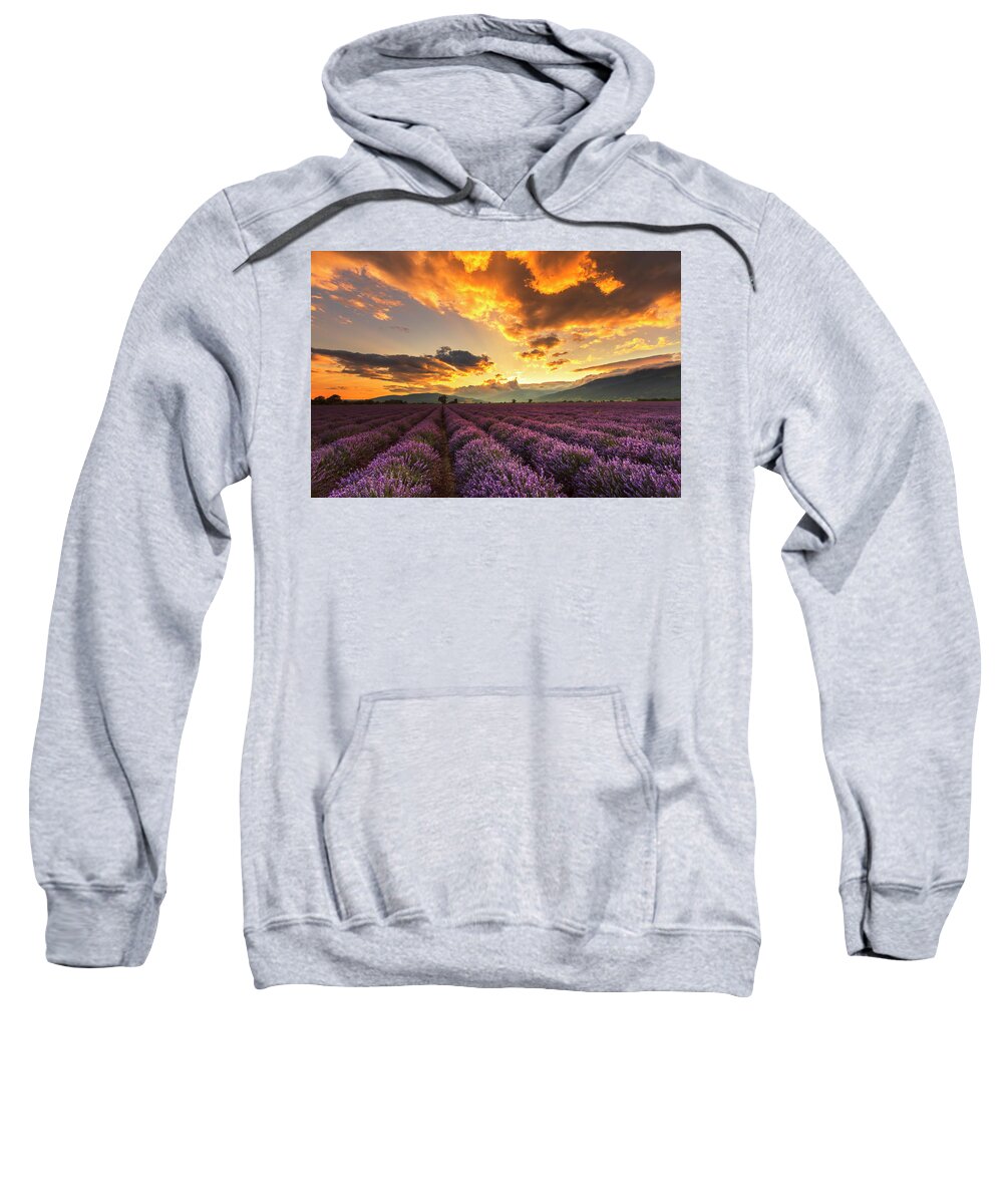 Bulgaria Sweatshirt featuring the photograph Lavender Sun by Evgeni Dinev