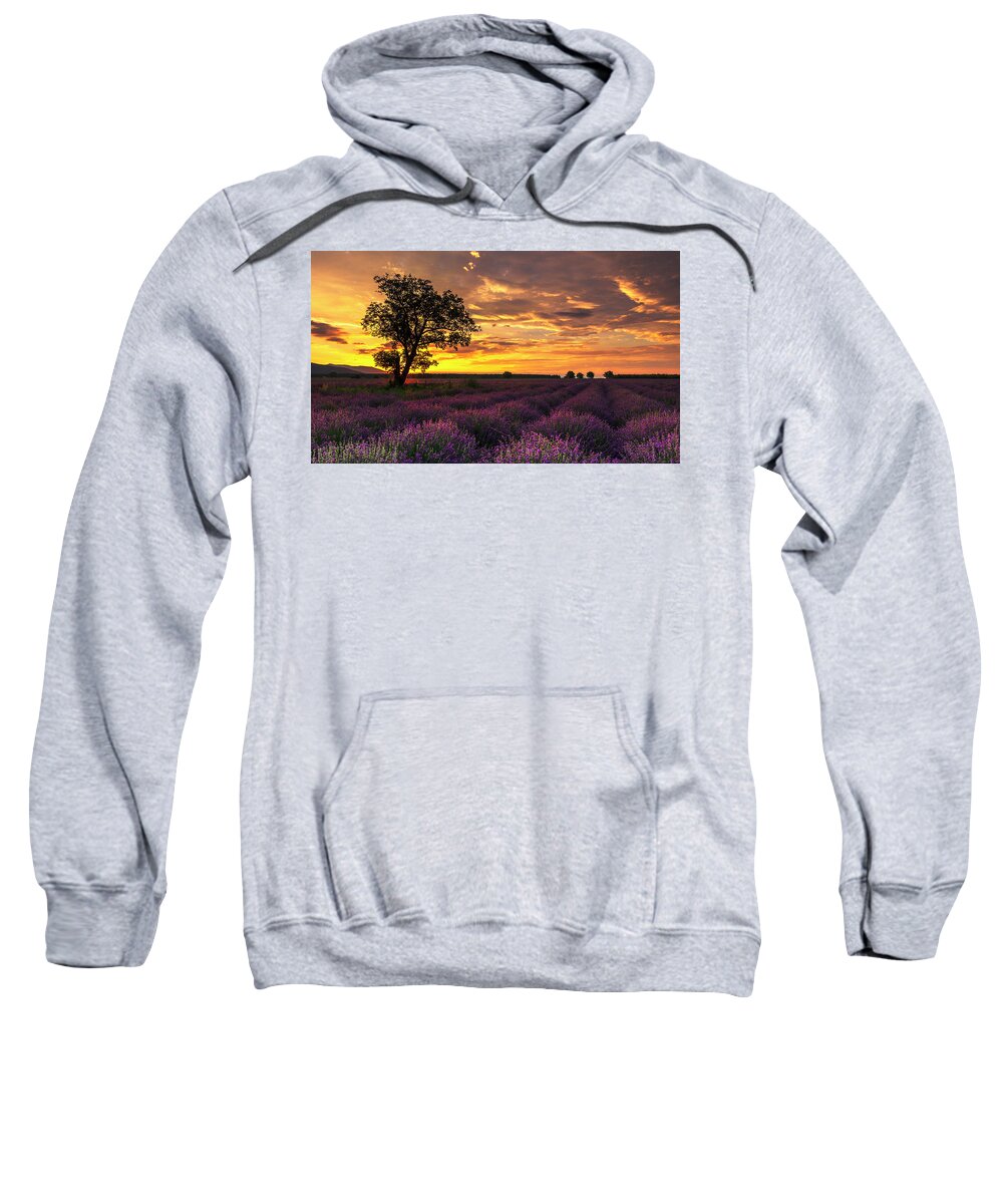 Bulgaria Sweatshirt featuring the photograph Lavender Sunrise by Evgeni Dinev