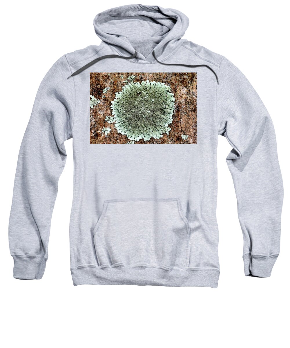 Abstract Sweatshirt featuring the photograph Leafy Lichen by Debbie Oppermann