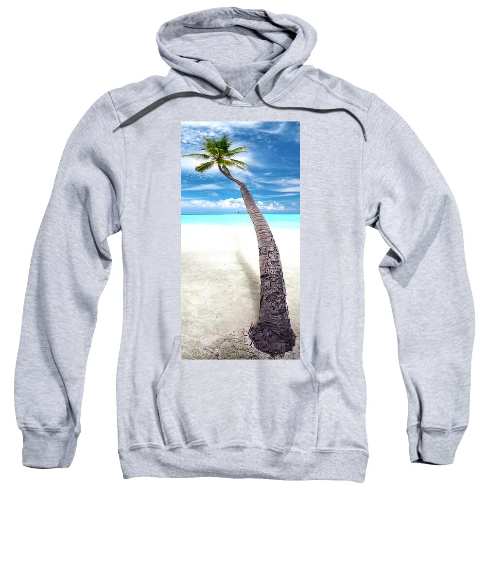 Calm Sweatshirt featuring the photograph Leaning Palm by Sean Davey