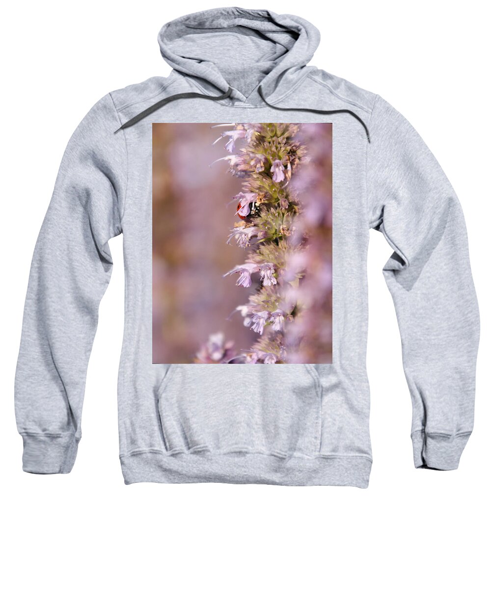 Life Sweatshirt featuring the photograph Life in the flower garden 3 by Jaroslav Buna