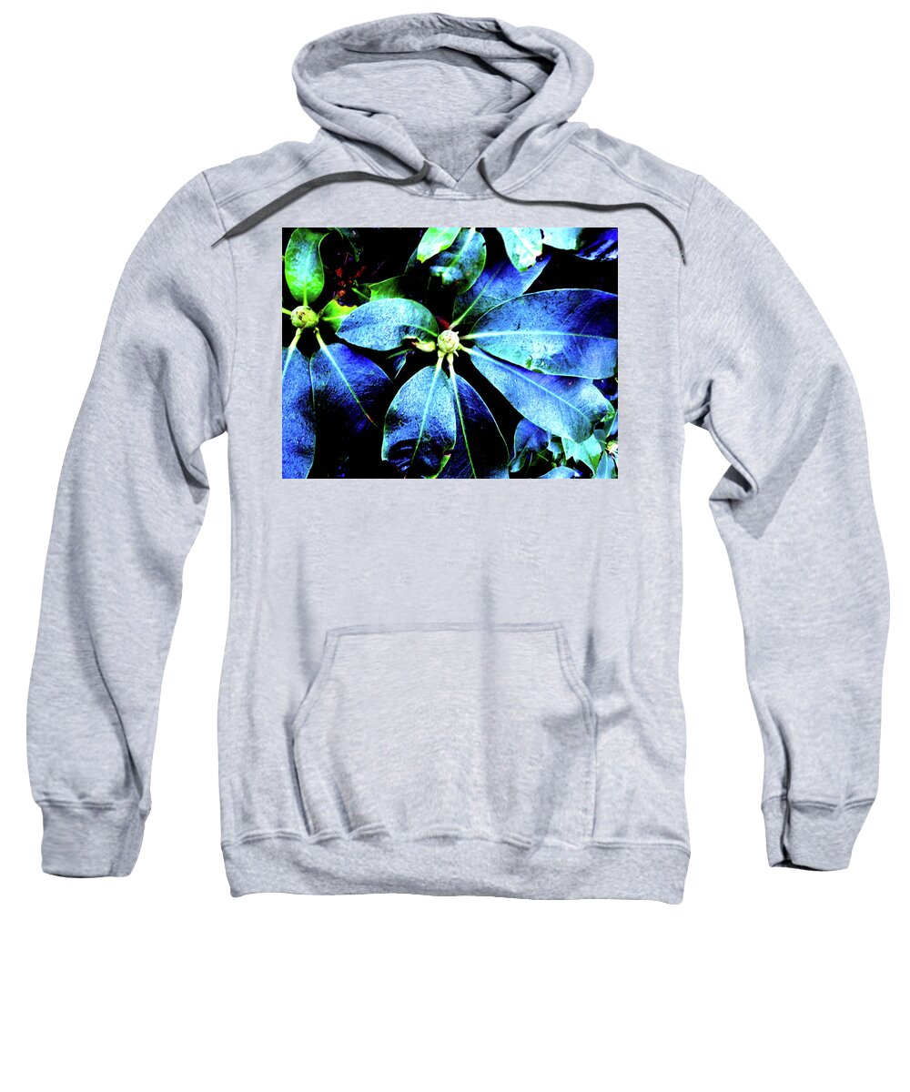 Abstract Sweatshirt featuring the photograph Life Revisited by Chriss Pagani