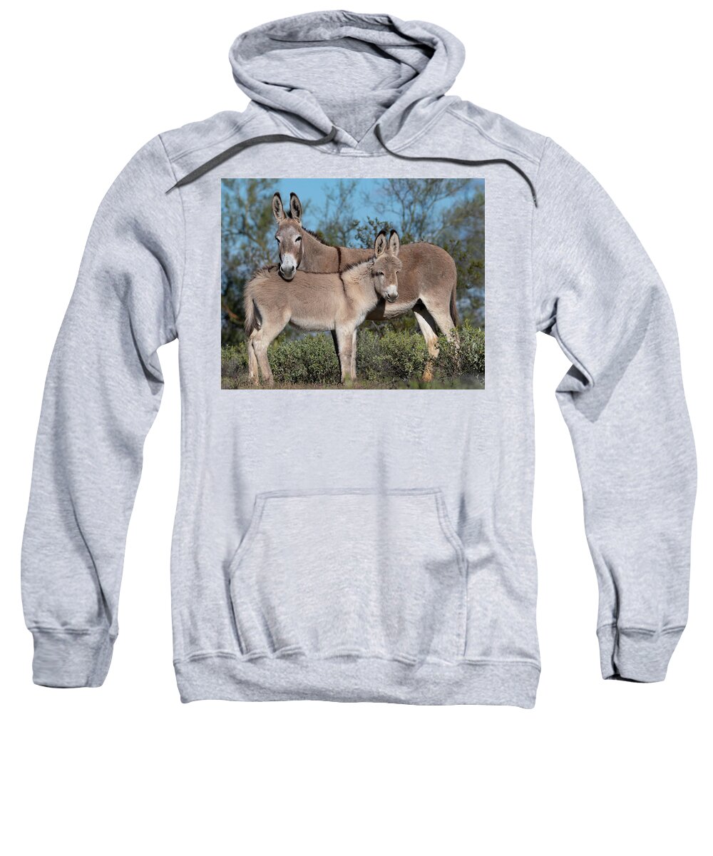 Wild Burros Sweatshirt featuring the photograph Like Mom by Mary Hone