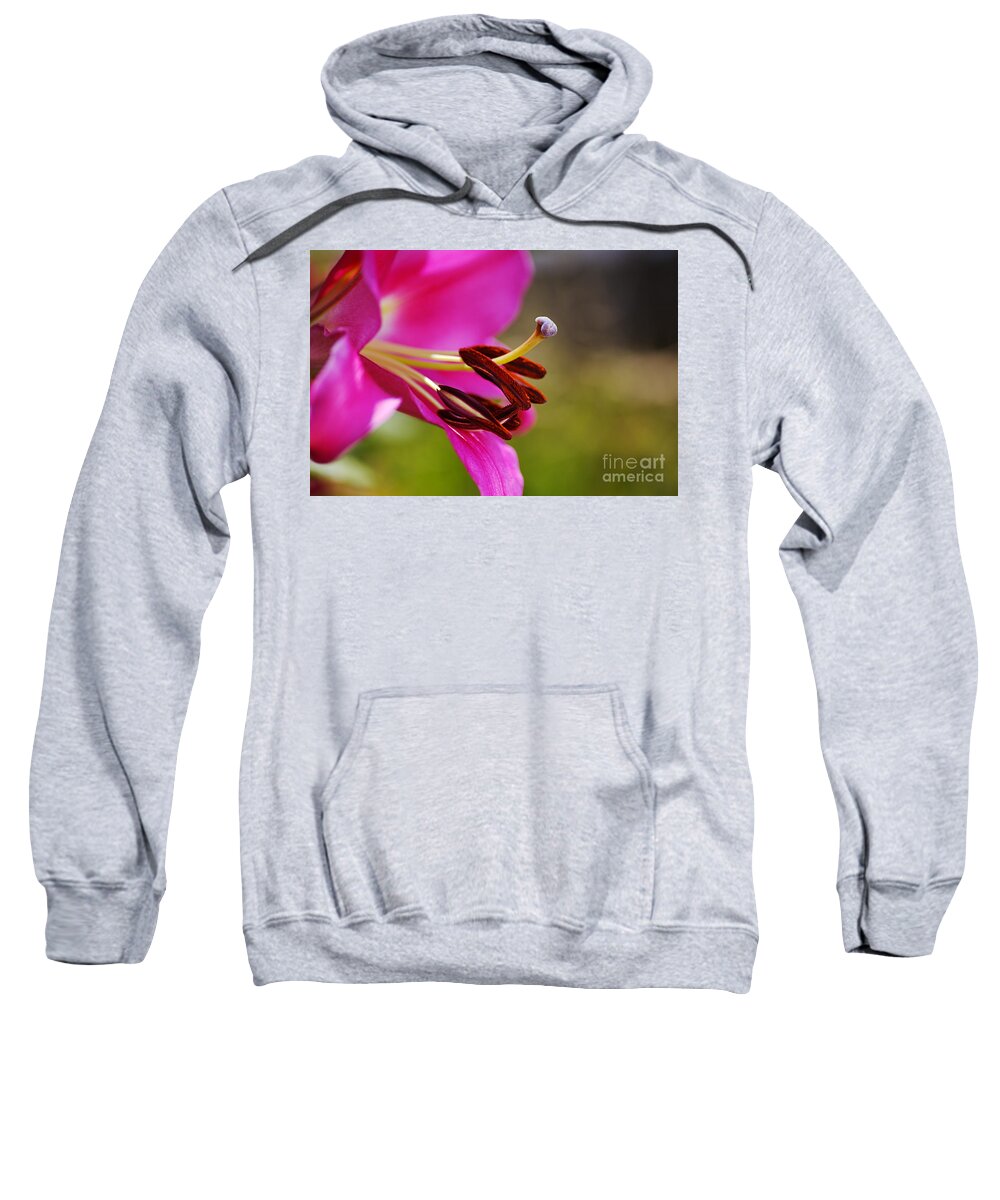 Pink Lily Sweatshirt featuring the photograph Lily Flowers Profile by Joy Watson