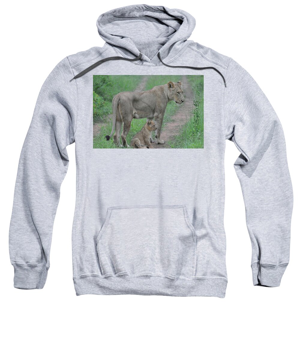 Lion Sweatshirt featuring the photograph Lioness and Cub on the Road by Rebecca Herranen