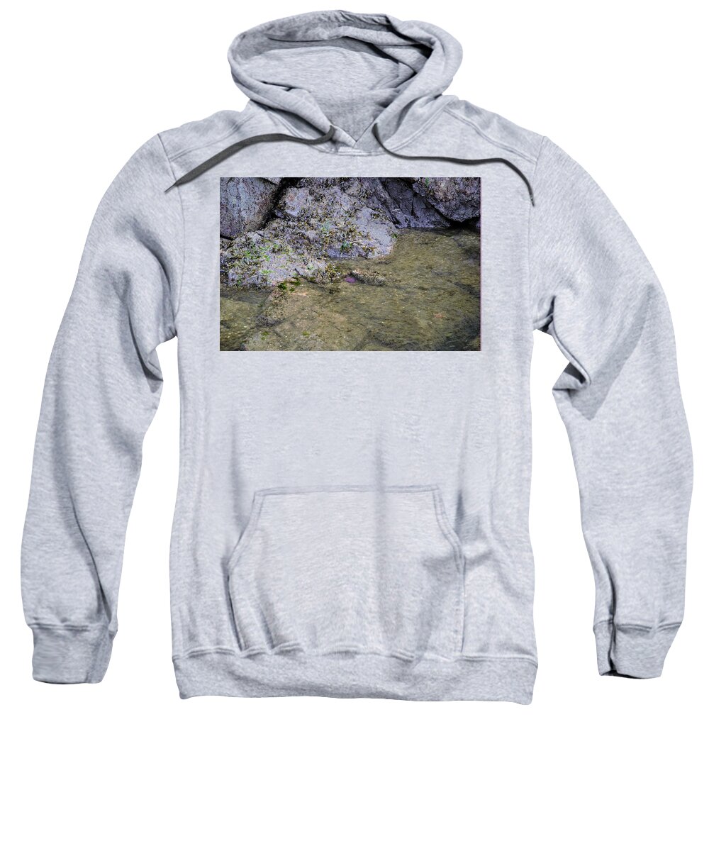 Starfish Sweatshirt featuring the photograph Lonely Star Fish by James Cousineau