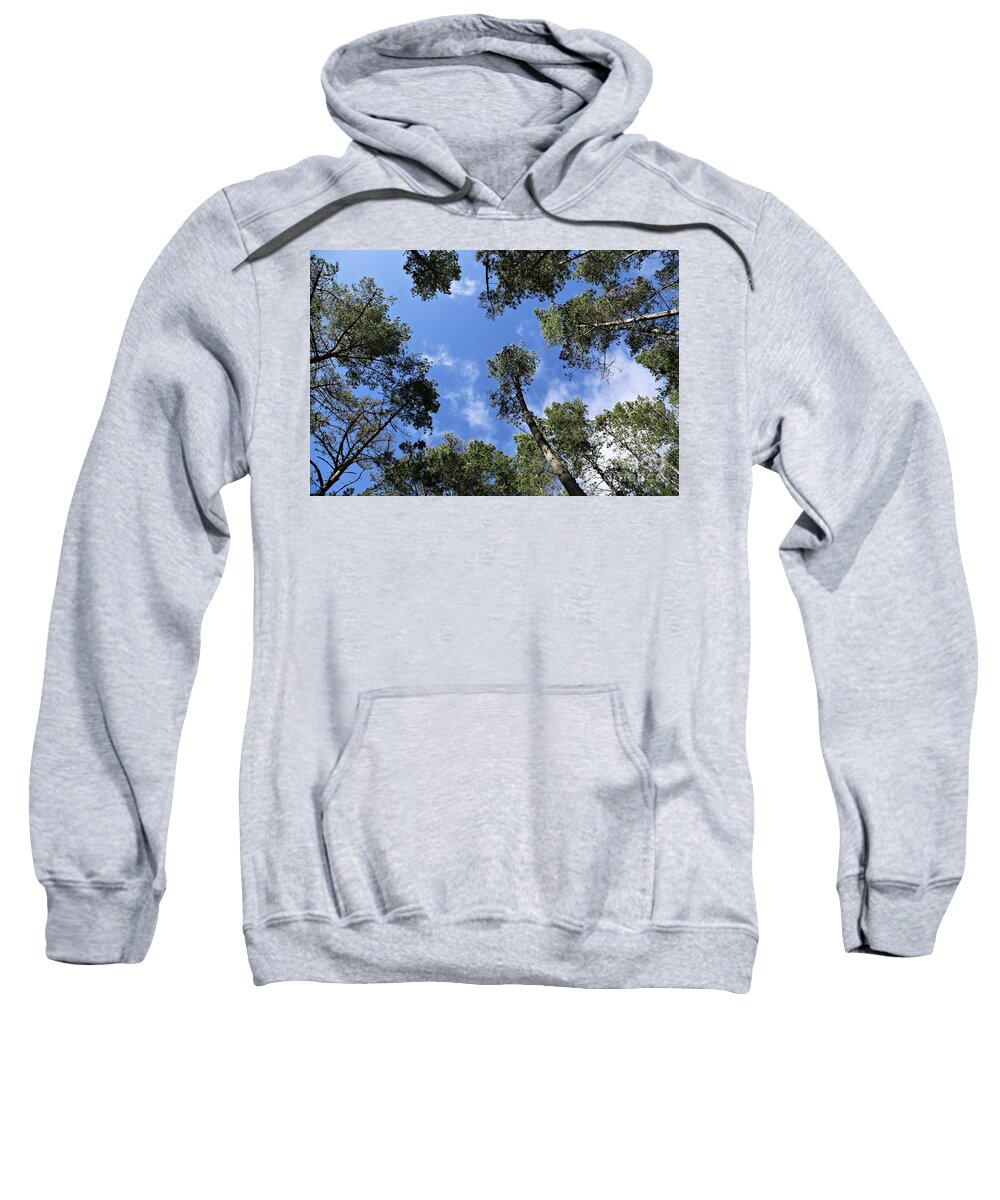 Trees Sweatshirt featuring the photograph Looking up through the Trees by Vivian Krug Cotton