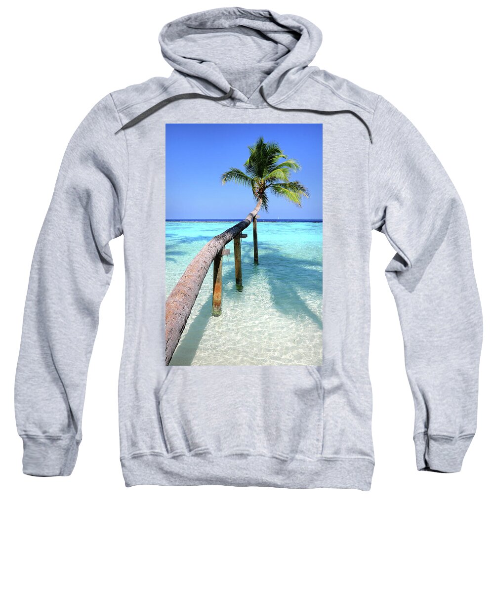 Palm Sweatshirt featuring the photograph Low Bow. Tropical Palm over Lagoon by Jenny Rainbow
