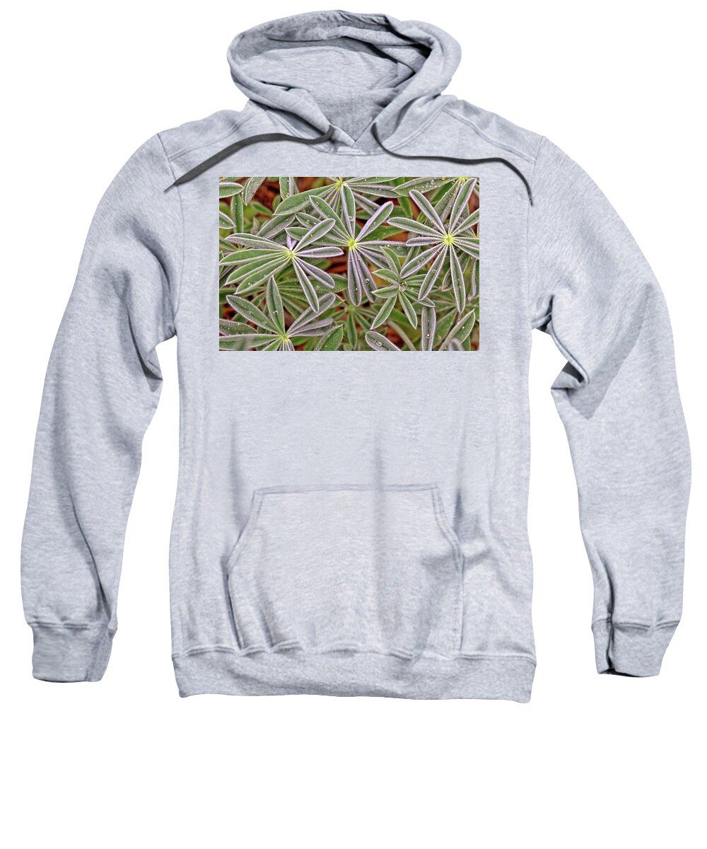 Lupine Sweatshirt featuring the photograph Lupine Leaves by Bob Falcone