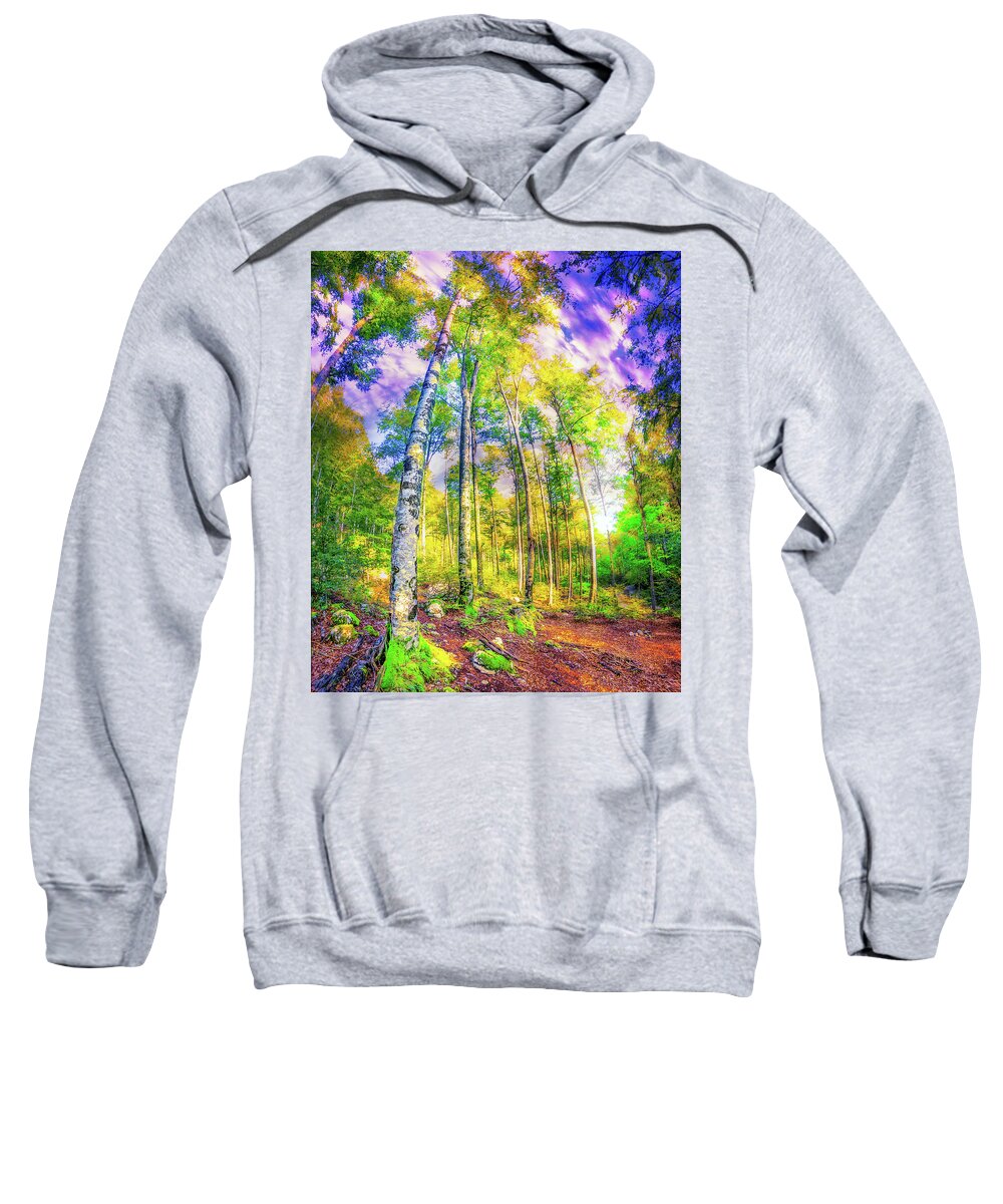 Birch Sweatshirt featuring the photograph Magical Forest green yellow birch foliage by Eszra Tanner