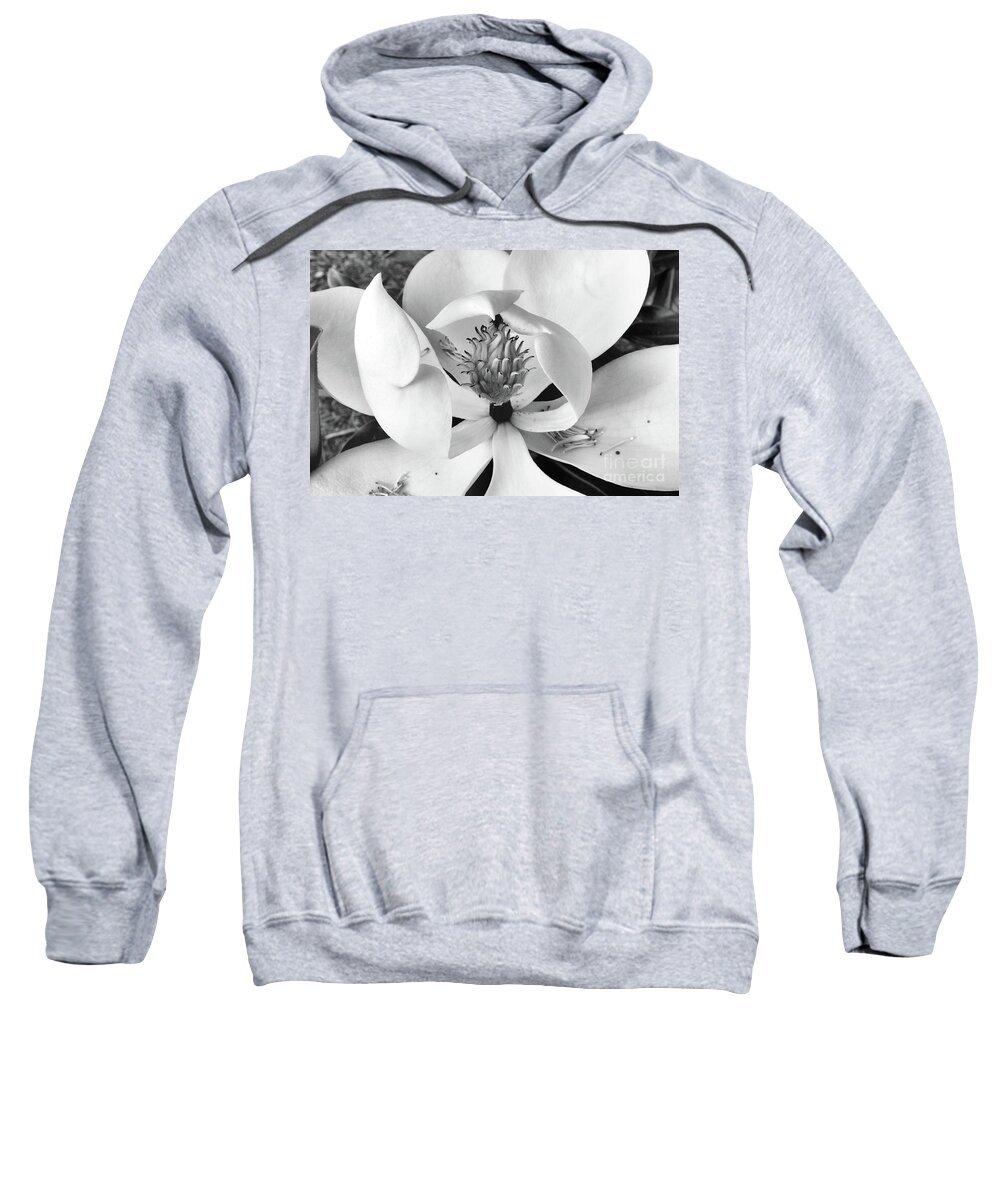 Magnolia Sweatshirt featuring the photograph Magnolia Blossom - Classic Black and White by Scott Cameron