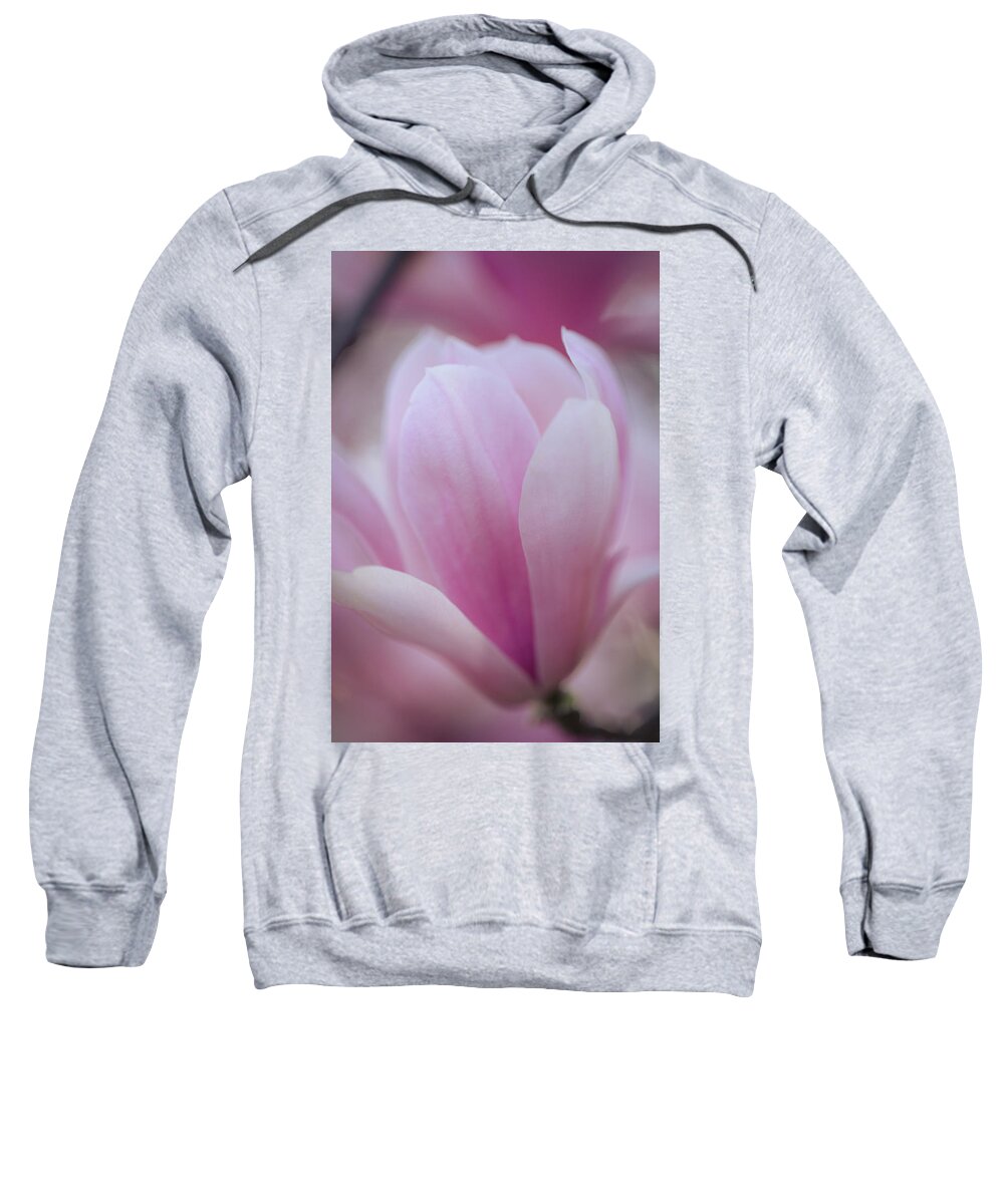 Flower Sweatshirt featuring the photograph Magnolia by Marlo Horne