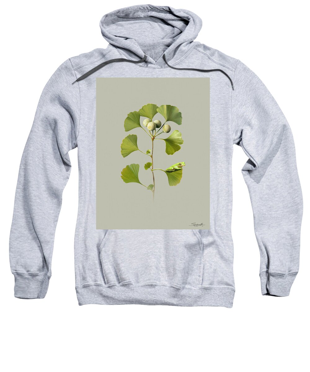 Tree Sweatshirt featuring the digital art Maidenhair Tree and Frog by M Spadecaller