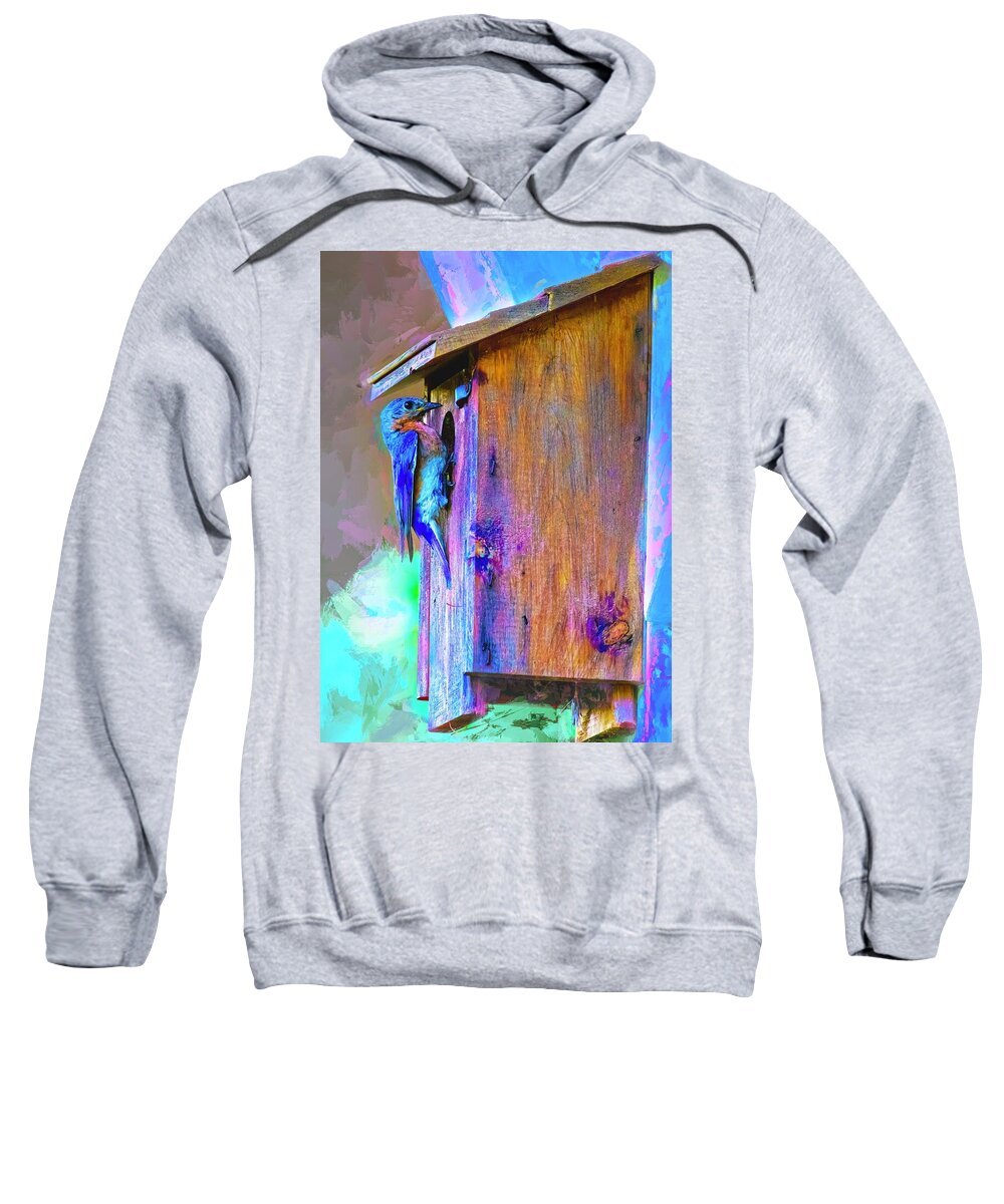 Bluebird Sweatshirt featuring the photograph Mama's Back by Kay Brewer