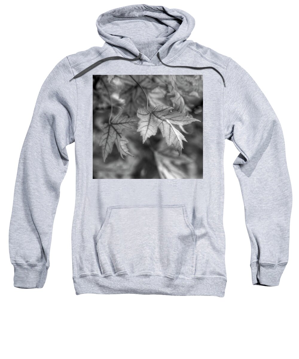 Maple Sweatshirt featuring the photograph Maple Leaf in Black and White by James C Richardson