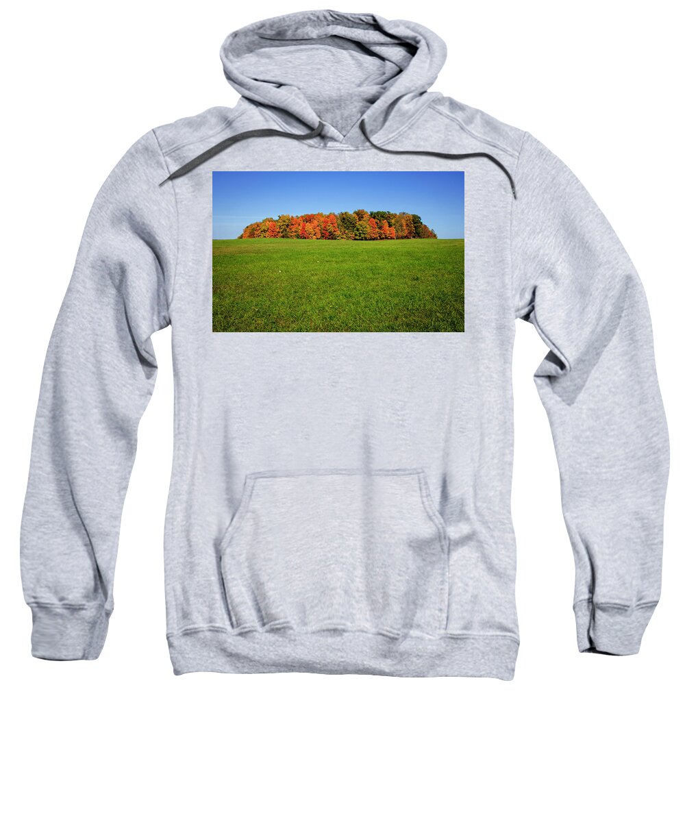 Michigan Sweatshirt featuring the photograph Michigan Woodlot in Autumn by Mary Lee Dereske