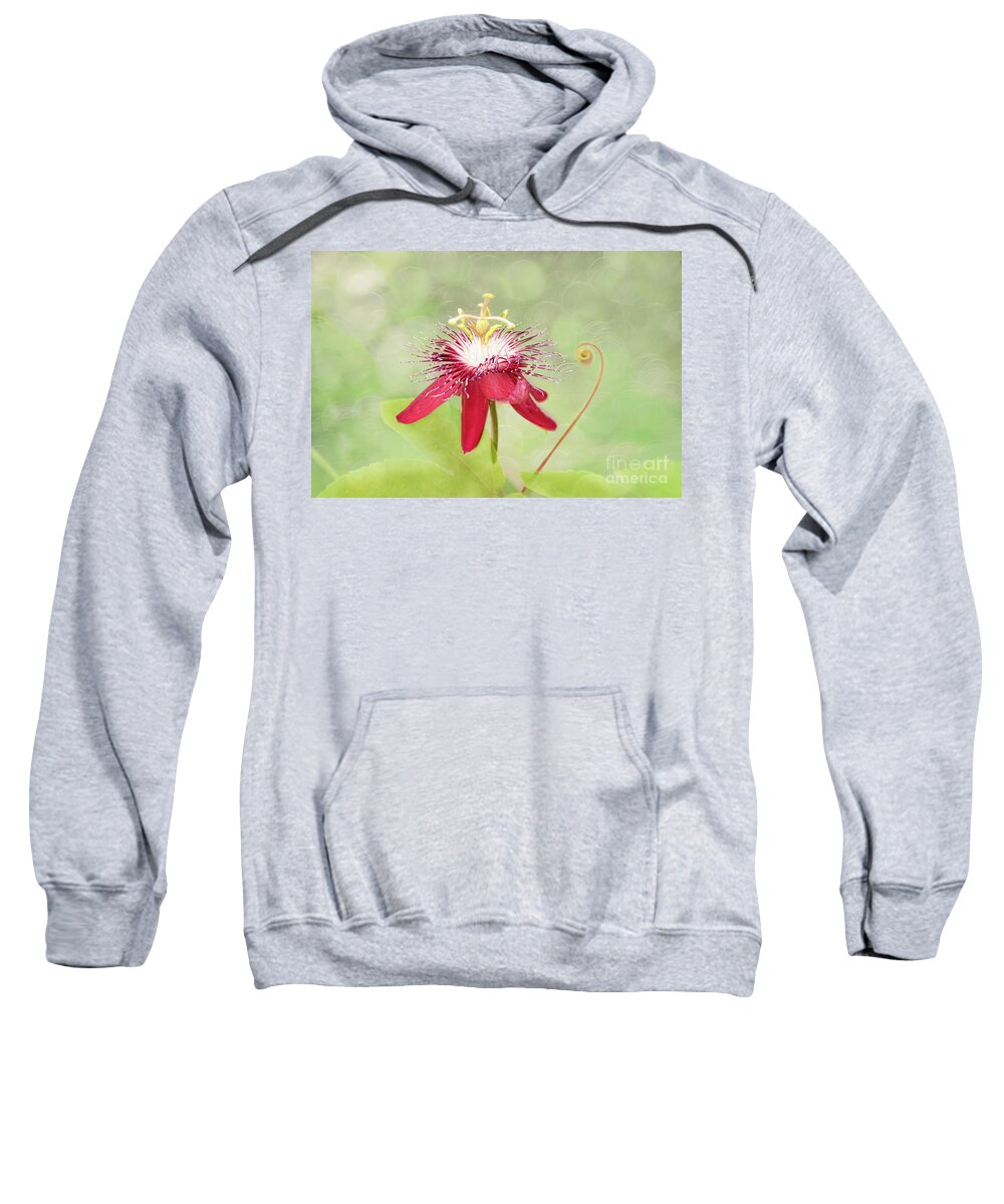 Passionflower Sweatshirt featuring the photograph Midsummer's Delight by Marilyn Cornwell