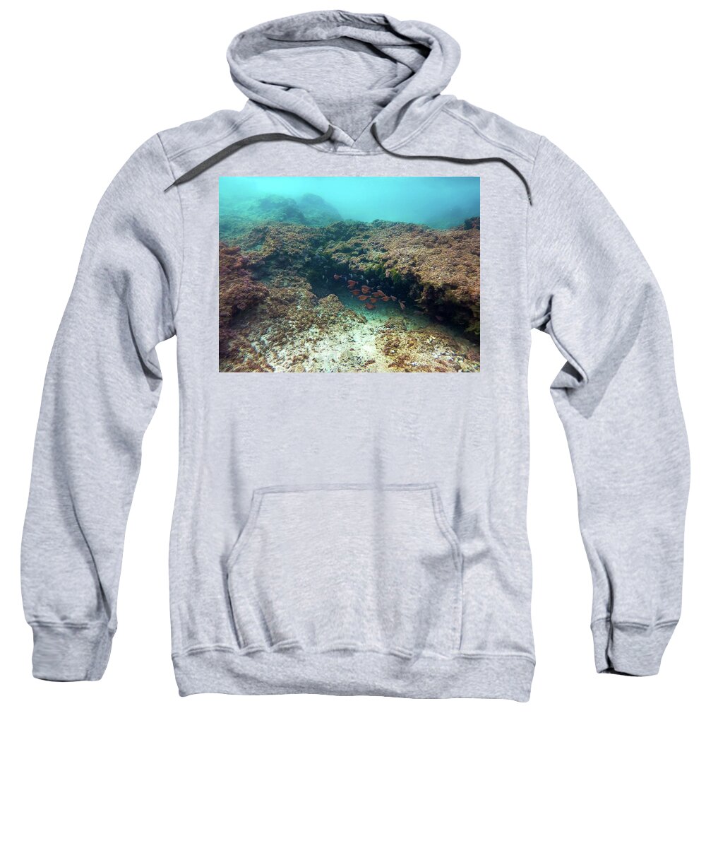 Dream Sweatshirt featuring the photograph Mikhmoret Reef by Meir Ezrachi