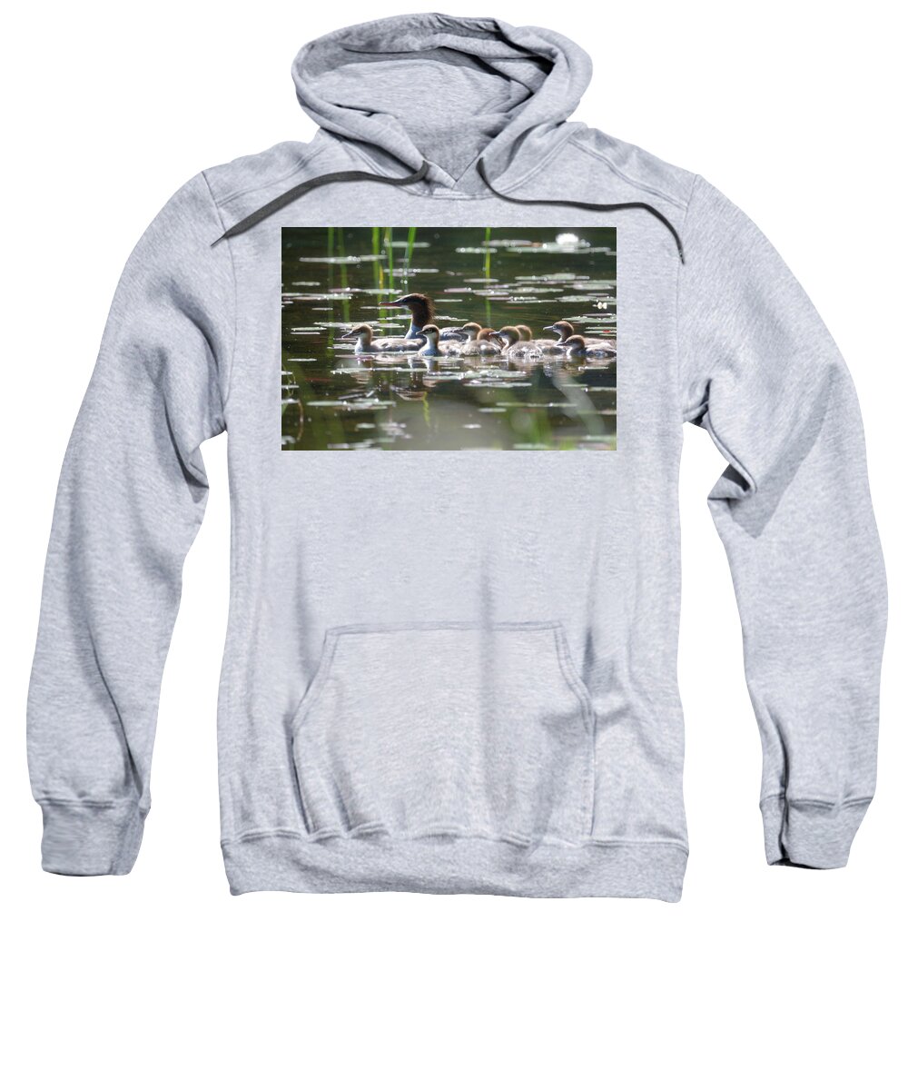 Outdoors Sweatshirt featuring the photograph Morning Swim- Common Mergansers by David Porteus