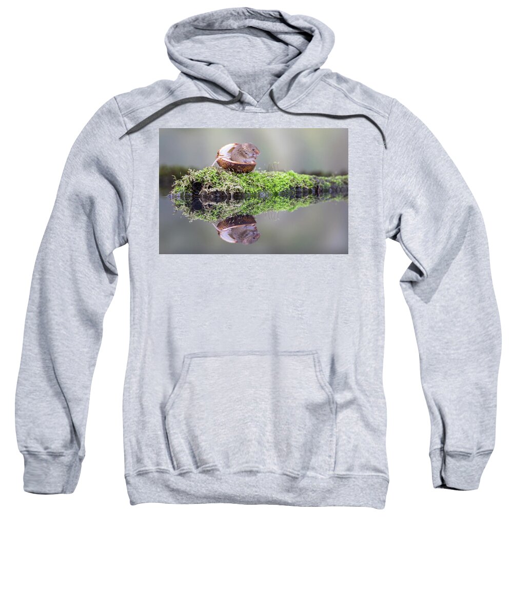 Cute Sweatshirt featuring the photograph Mouse in a nutshell by Erika Valkovicova
