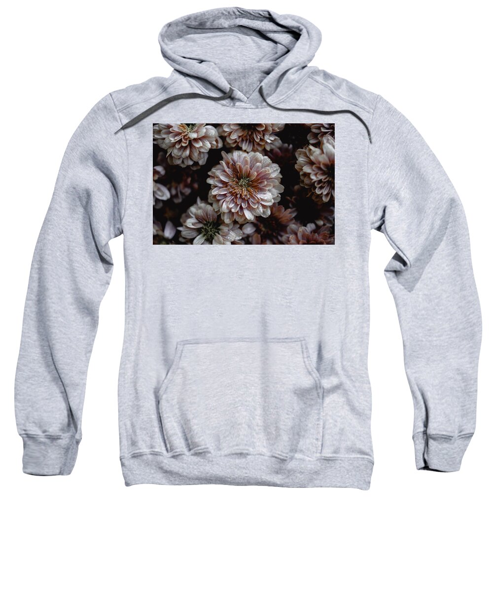 Photo Sweatshirt featuring the photograph Mums by Evan Foster