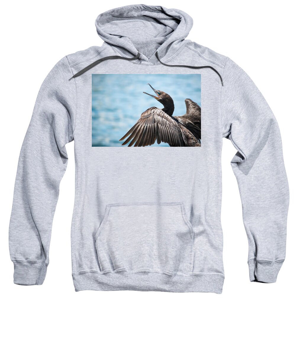 Neotropic Cormorant Sweatshirt featuring the photograph Neotropic Cormorant by Bonny Puckett