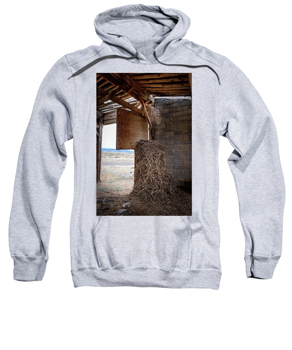 Colorado Sweatshirt featuring the photograph Nest of the Ancient Raven by Mary Lee Dereske