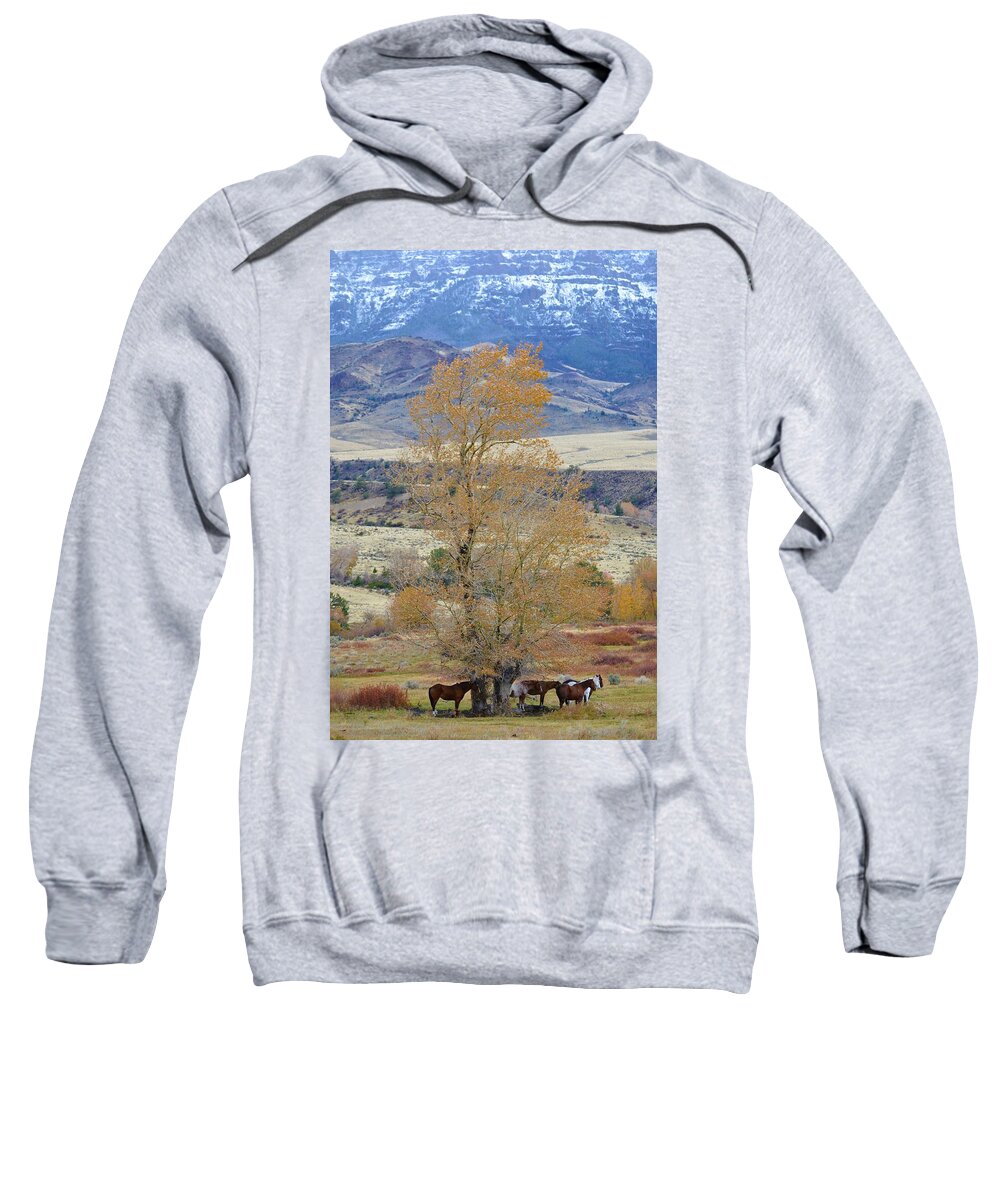 Western Art Sweatshirt featuring the photograph October Sunday by Alden White Ballard