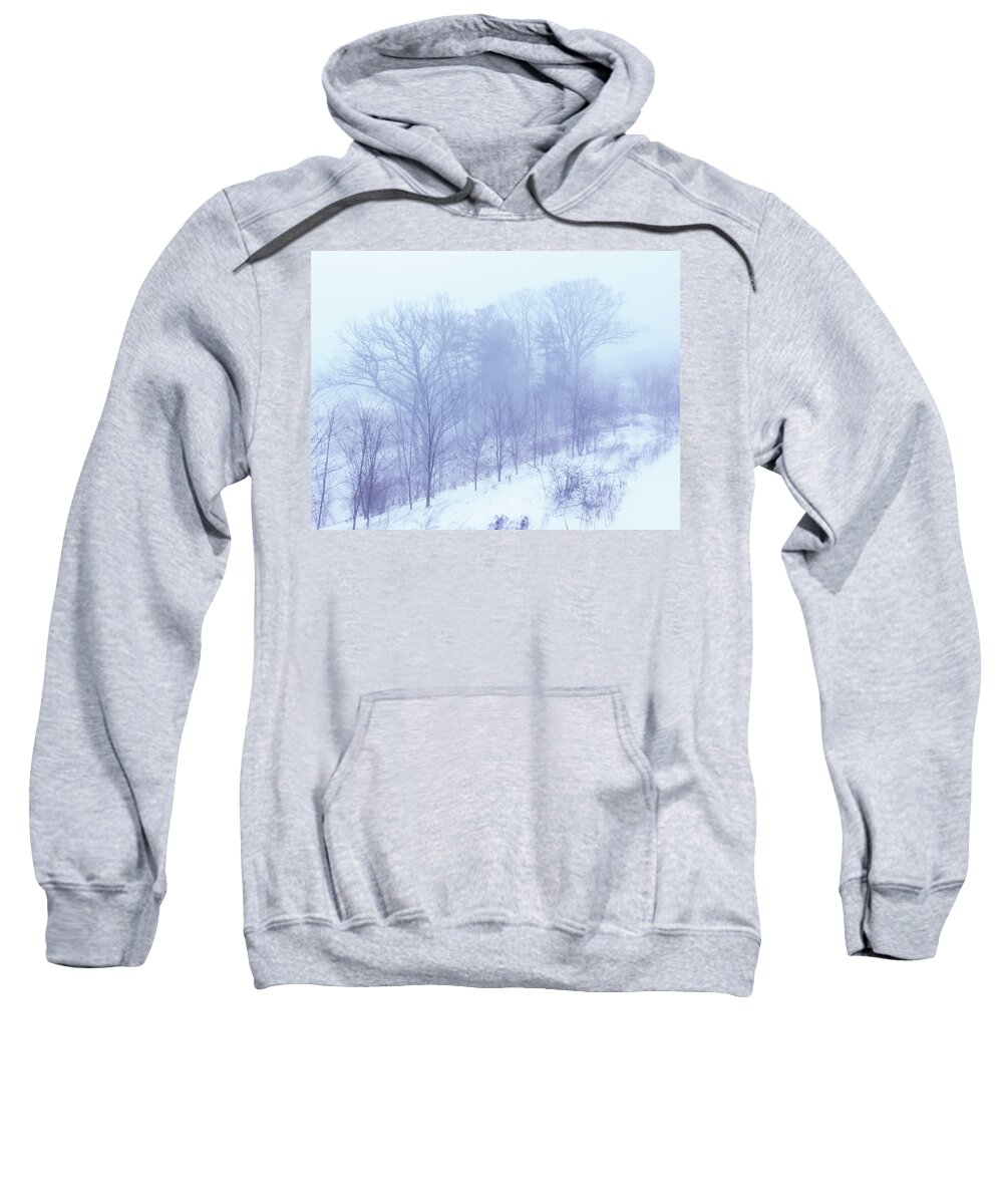 Landscape Sweatshirt featuring the photograph Of Trees and Snow by Dimitry Papkov