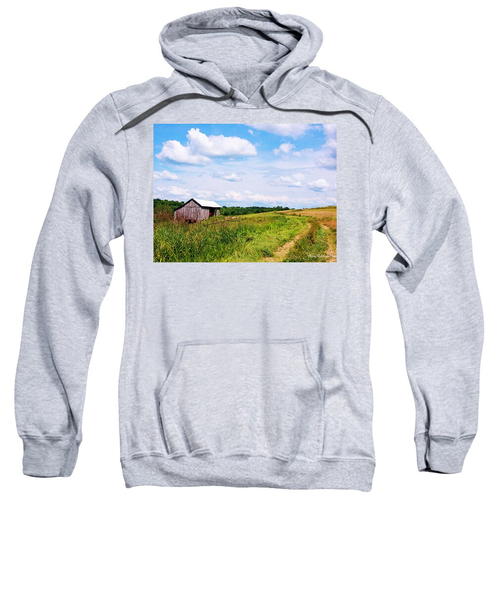 Landscape Sweatshirt featuring the photograph Ohio Country Road by Mary Walchuck