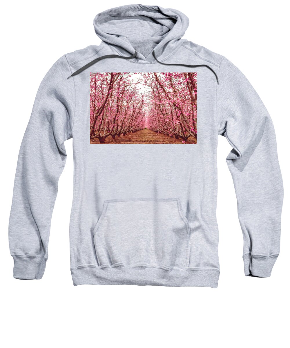 Blossom Trail Sweatshirt featuring the photograph Old Fruit Trees With New Blossoms by Elvira Peretsman