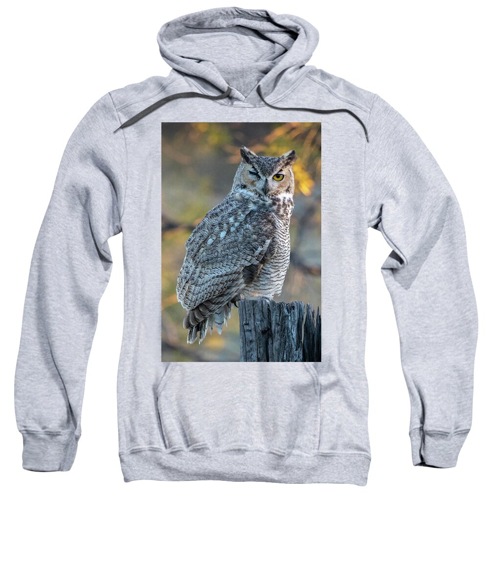 Great Horned Owl Sweatshirt featuring the photograph One Eyed Owl by Steve Templeton