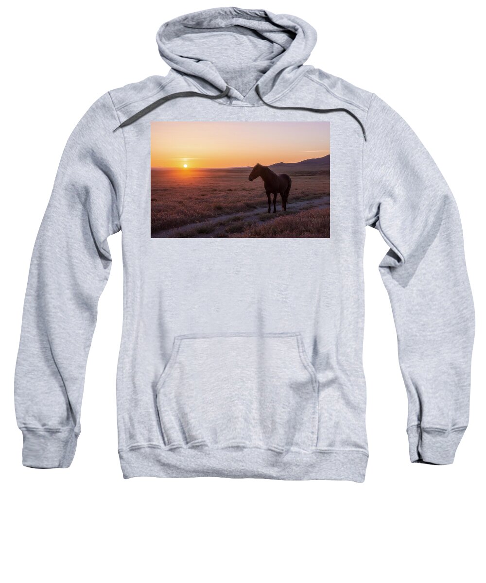 Horse Sweatshirt featuring the photograph Orange and Purple Sunset by Dirk Johnson