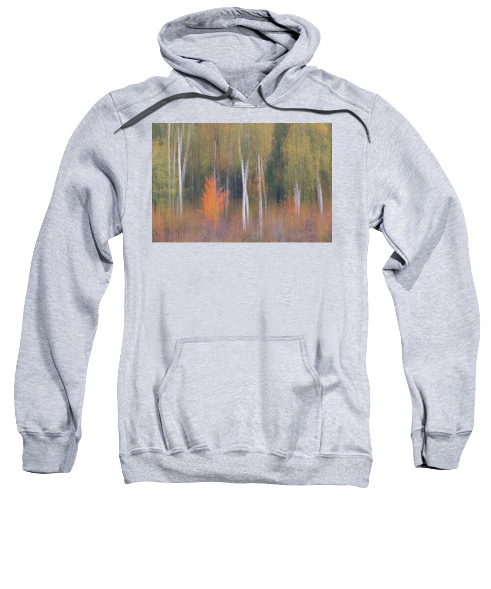 Landscape Sweatshirt featuring the photograph Orange Flare Forest Blur by Patti Deters
