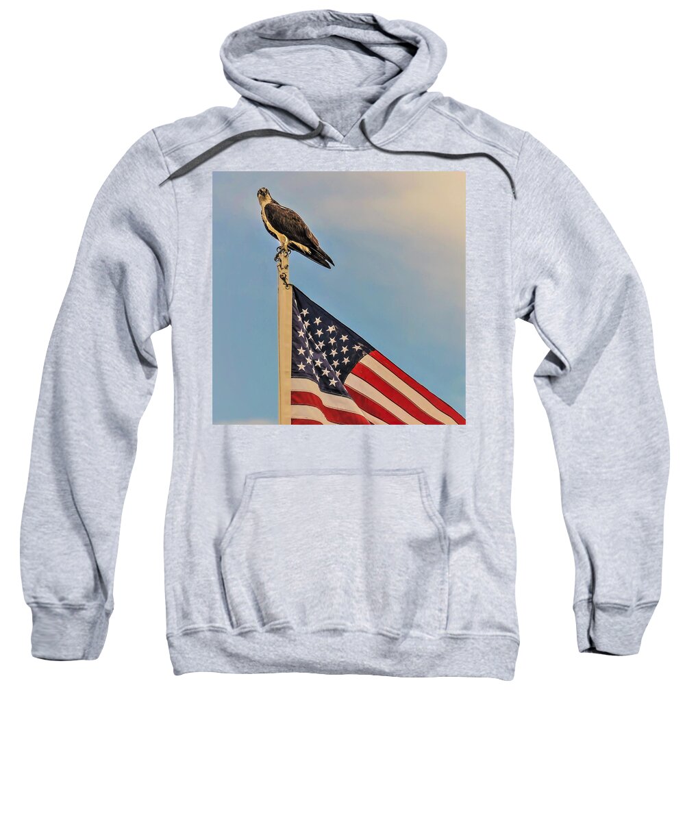 Ospray Bird Feathers Flag Sweatshirt featuring the photograph Osprey10a by John Linnemeyer