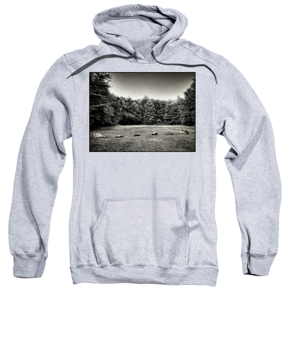 Pines Sweatshirt featuring the photograph Outer Loop by Robert Dann