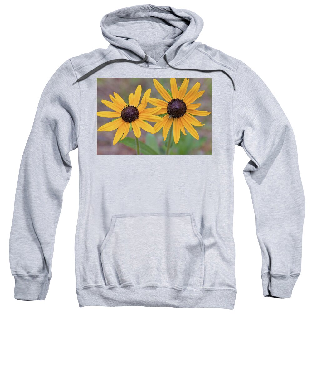 Flowers Sweatshirt featuring the photograph Pair of sunflowers by Bob Falcone